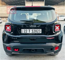 جيب رينيجيد